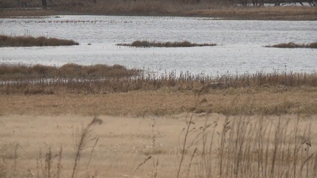Along Rock River, demands to solve flooded fields and dying forest