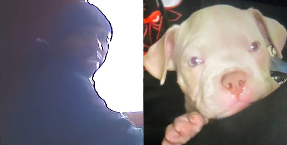 Milwaukee police seek suspect in north side puppy theft