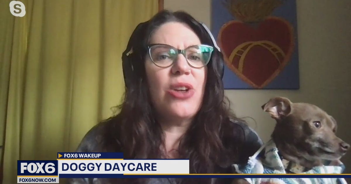 Have a furry friend? Some doggy daycares you'll love | FOX6 Milwaukee
