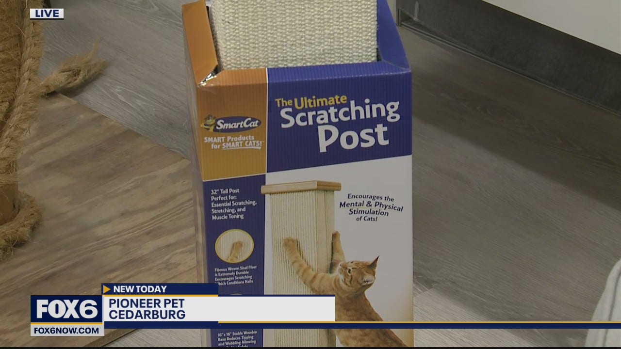 Pioneer pet shop scratching post