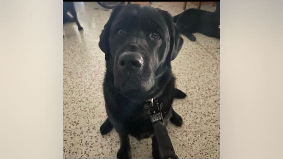 Kenosha police welcome new K9 to the force