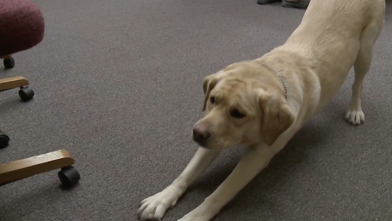 That's Karma: Racine County K-9 helps catch child porn offenders