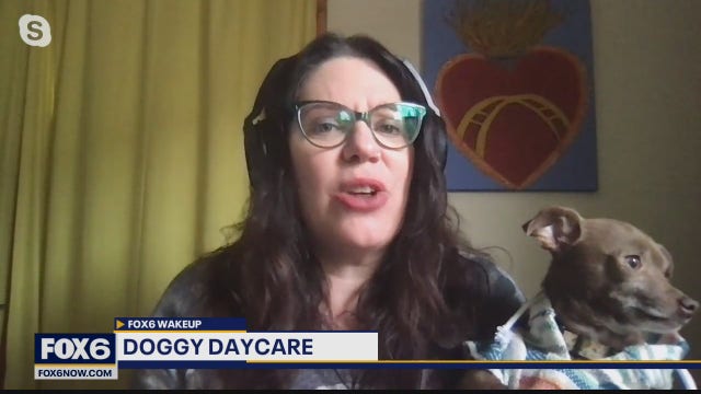 Have a furry friend? Some doggy daycares you'll love