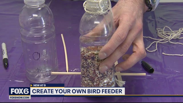 How kids can make their very own upcycled bird feeder