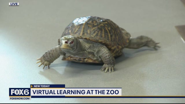 The Zoological Society of Milwaukee offers virtual fun