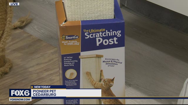The #1 selling cat scratching post on Amazon is made in Cedarburg