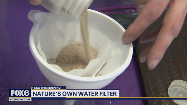 Have you ever wondered what happens to rain after it hits the ground?