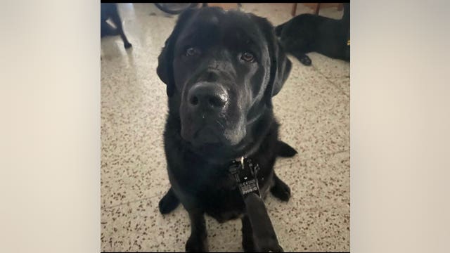 Kenosha police welcome new K9 to the force