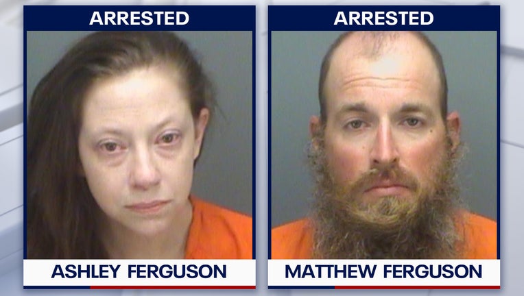 ferguson pinellas mugs