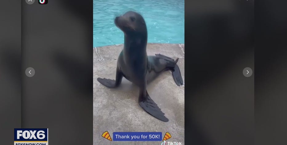 Ocean Connections uses social media to connect during pandemic