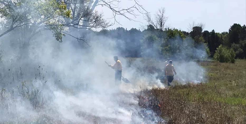 DNR prescribed burns provide many benefits to local ecosystems