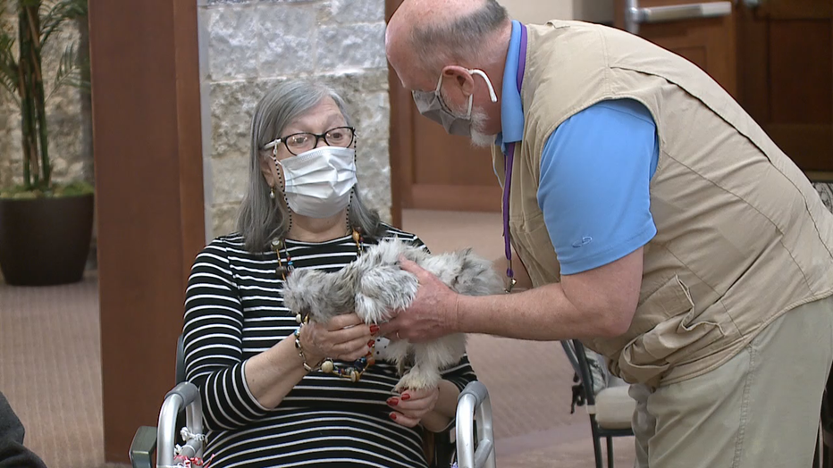 Chicken therapy in Mequon