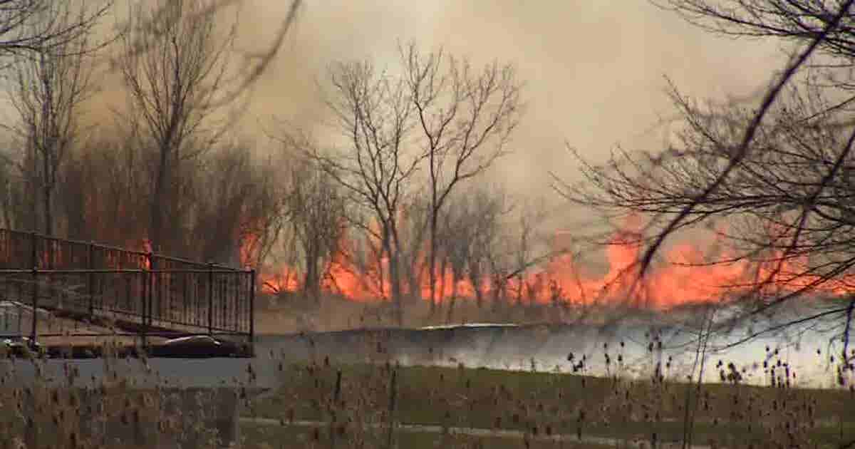 DNR: Menomonee Falls brush fire chars 450 acres; no injuries | FOX6 ...