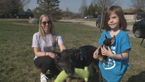 Retired St. Francis police dog spreads autism awareness