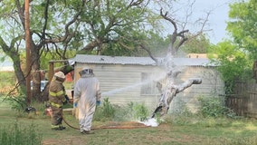 Aggressive swarm of bees attack and kill man