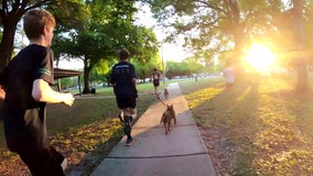 Cross-country team puts shelter dogs on track for brighter future