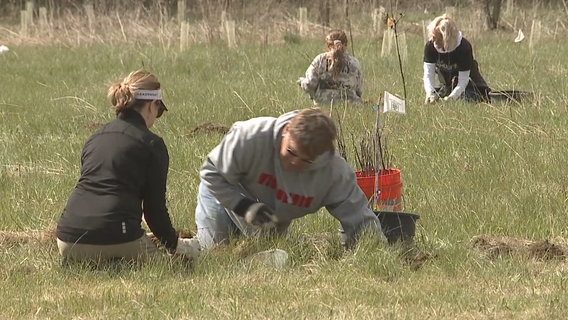 Arbor Day volunteers plant trees, 300 in Waukesha County Parks