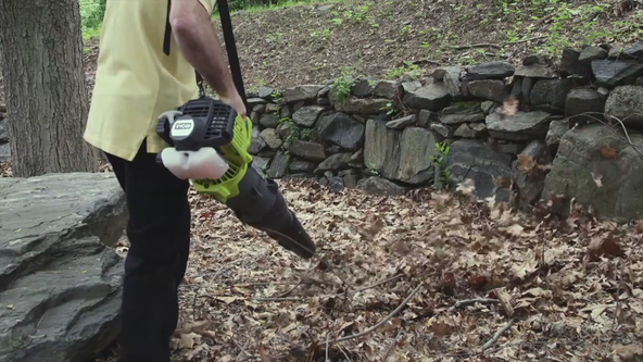 Better battery-powered lawn tools