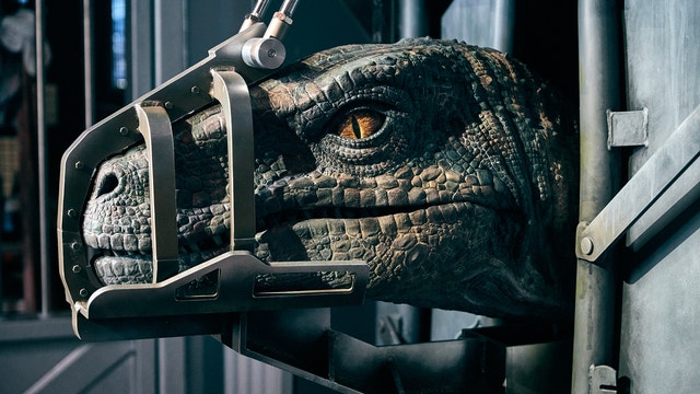 Behind-the-teeth: Inside look at queue line for Jurassic World VelociCoaster