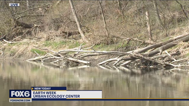 Urban Ecology Center’s mission is to connect people in cities to nature