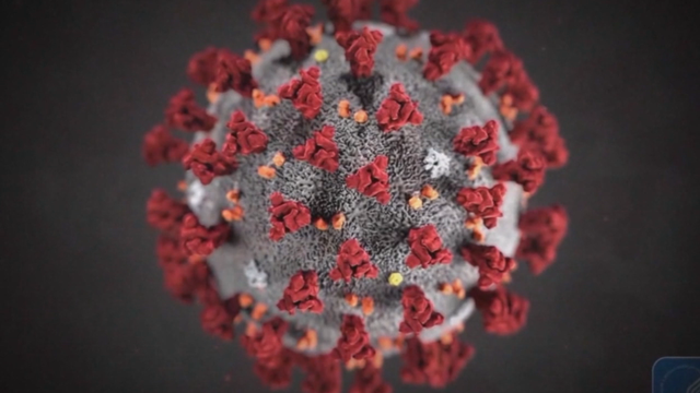 COVID Delta variant concerns; vaccine trial for kids progressing