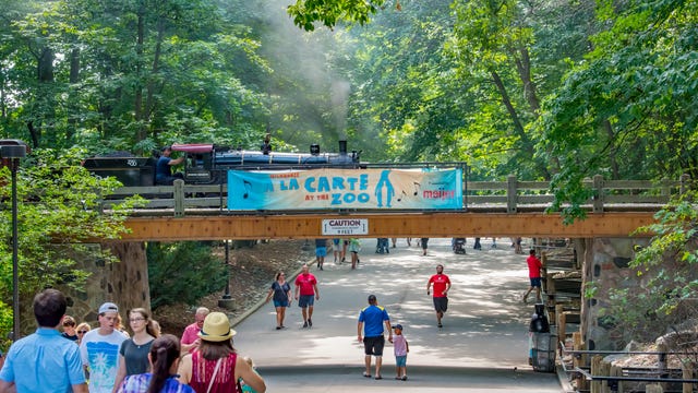 Milwaukee County Zoo cancels 2021 a la Carte food and music festival