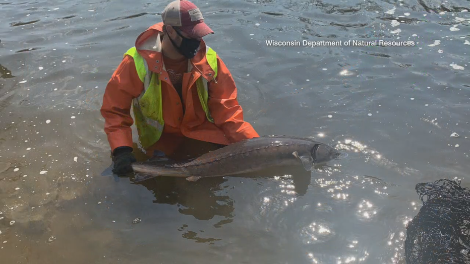 DNR facts to know about fishing in Wisconsin