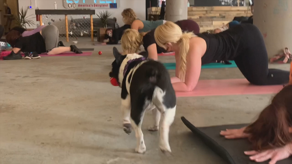 MKE Yoga Social