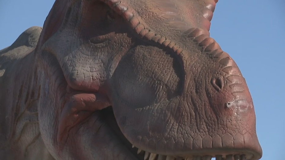 Dino Safari