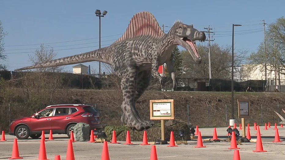 Dino Safari