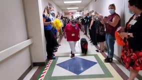 California medical center throws retirement ‘paw-ty’ for beloved therapy dog, Tassy