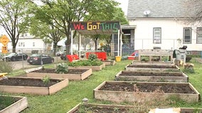 Life lessons learned gardening: Milwaukee youth benefit in many ways