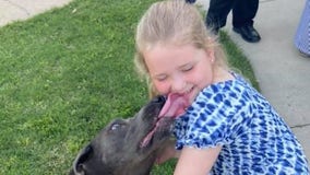 6-year-old girl invites passerby, dog to father’s funeral