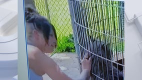 Shalom Wildlife Zoo seeks to ID person who climbed barrier fence