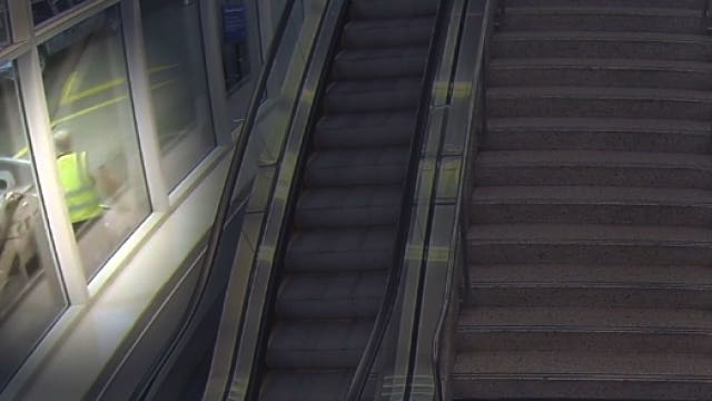 Opossum in drawer at Mitchell Airport