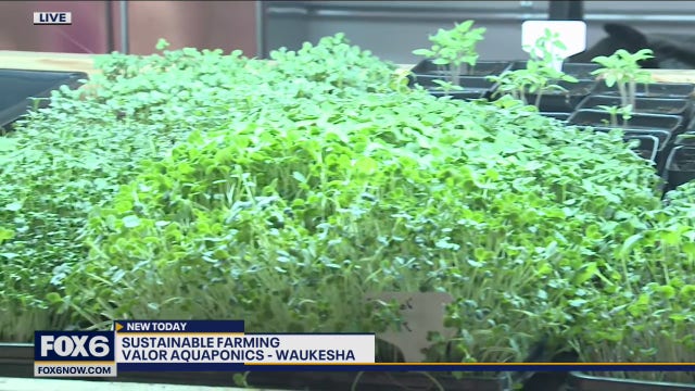 For one local farmer, opening an indoor farm started as a dream 10 years ago