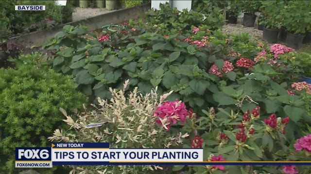 Spring planting: Get started with these simple tips