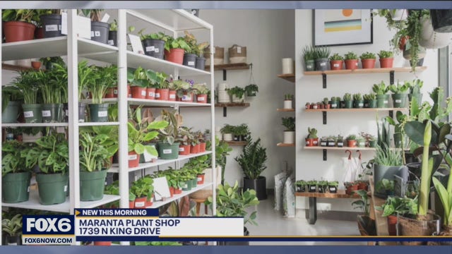 Great garden centers, plant shops in SE Wisconsin