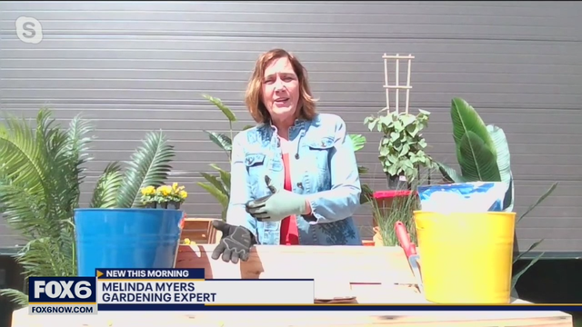 Gardening tips to increase your success this year