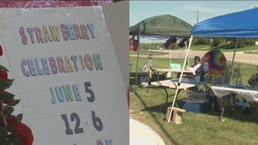 Strawberry Festival canceled, Fredonia vendor holds own event