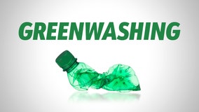 Greenwashing: Sustainability or showmanship by companies?