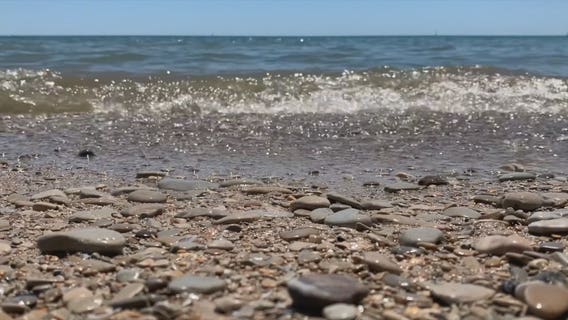 Blue-green algae: Tips to stay safe for humans, pets