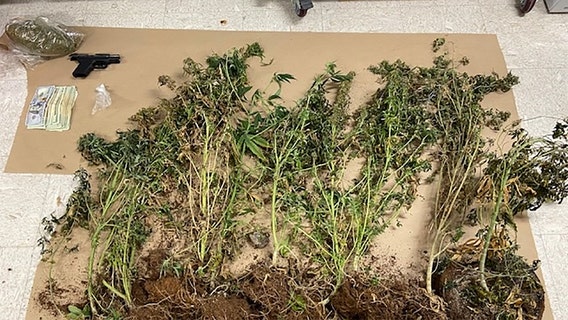 Racine drug bust: Weed, crack cocaine found, man arrested