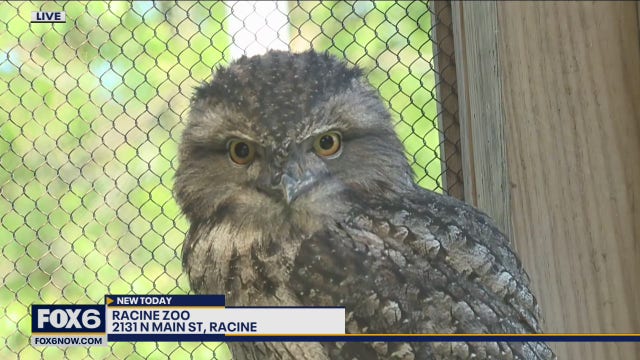 Racine Zoo is looking forward to their 2021 concert series