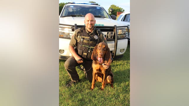 K9 bloodhound finds endangered 6-year-old missing a month
