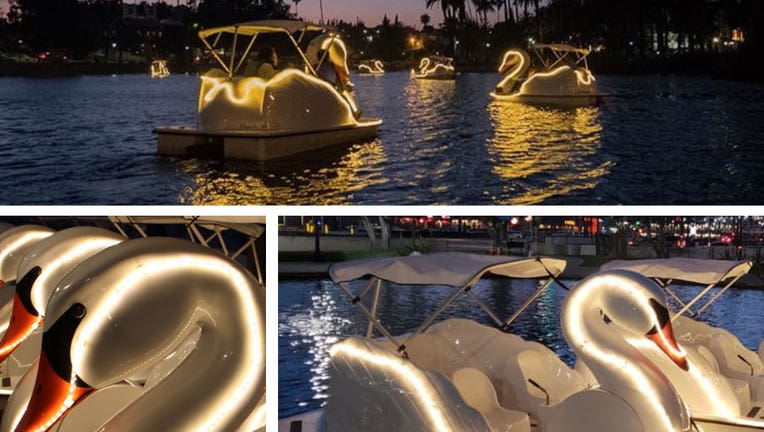 Milwaukee Illuminated Swan Boat Night Rides