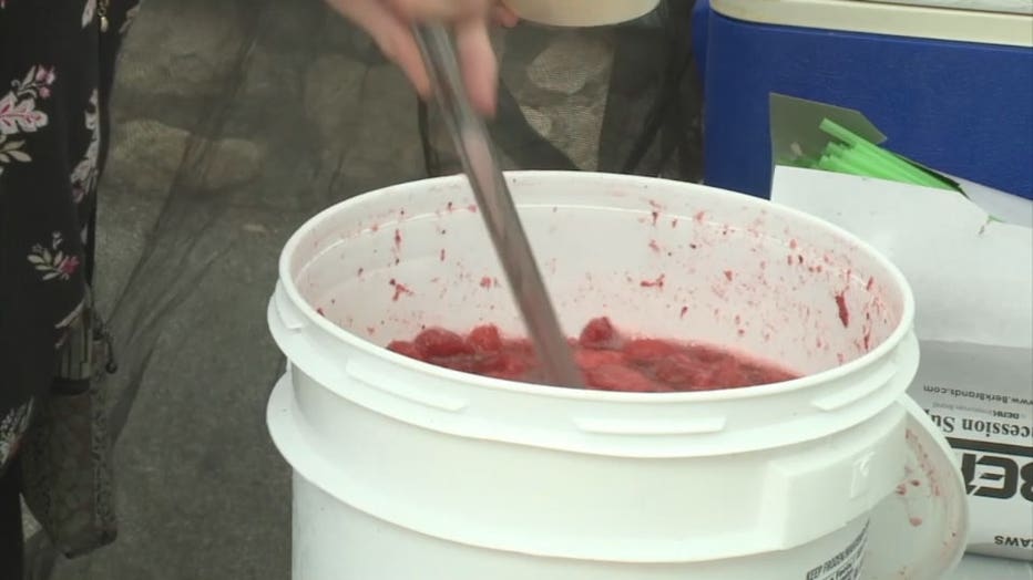 Cedarburg 'Summer Fair'