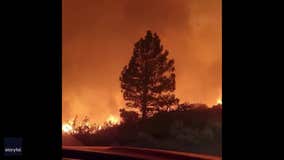 Fire tornado rages through Plumas National Forest in California