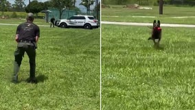 K9 at Florida sheriff's office helps handler with gender reveal