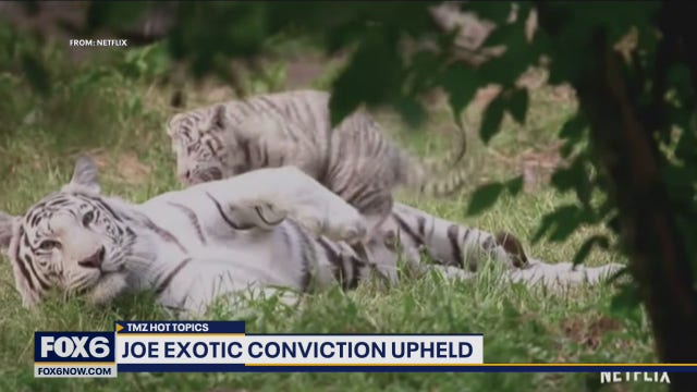 Joe Exotic's conviction upheld: TMZ